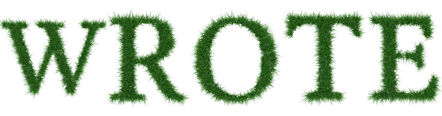 Wrote - 3D rendering fresh Grass letters isolated on whhite background.