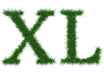 Xl - 3D rendering fresh Grass letters isolated on whhite background.