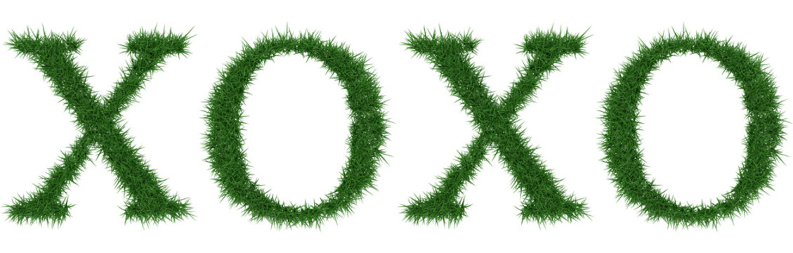 Xoxo - 3D rendering fresh Grass letters isolated on whhite background.