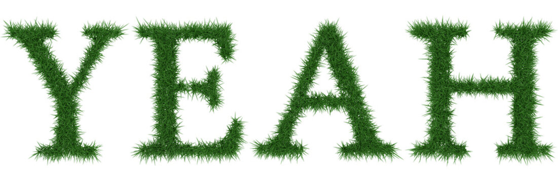 Yeah - 3D rendering fresh Grass letters isolated on whhite background.