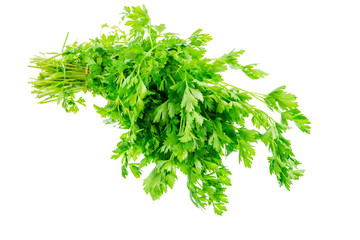 Isolated bunch of fresh garden parsley