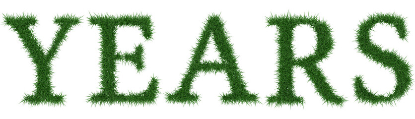 Years - 3D rendering fresh Grass letters isolated on whhite background.
