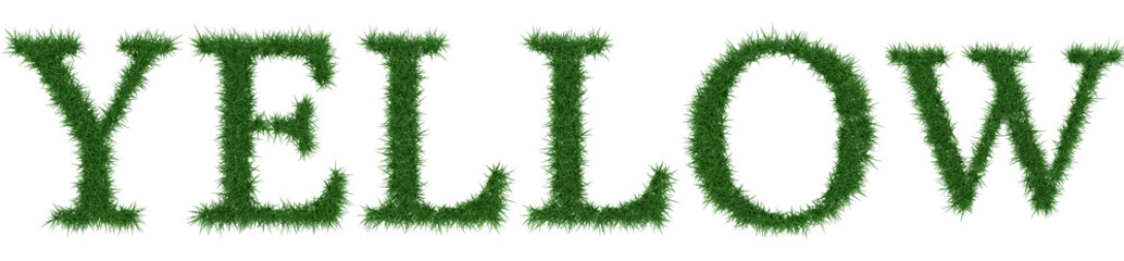 Yellow - 3D rendering fresh Grass letters isolated on whhite background.