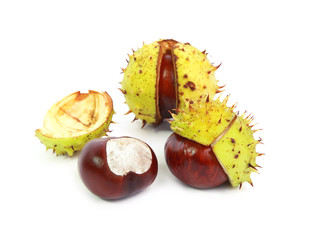 Marrons d'Inde 