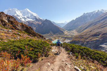 Obraz premium Hiker is climbig to Manaslu base camp in highlands of Himalayas on Manaslu circuit