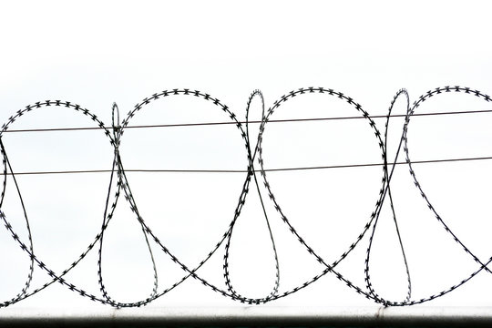 Freedom concept using : Symbol of  Barbed wire wall is symbol of freedom, white background. Copy space