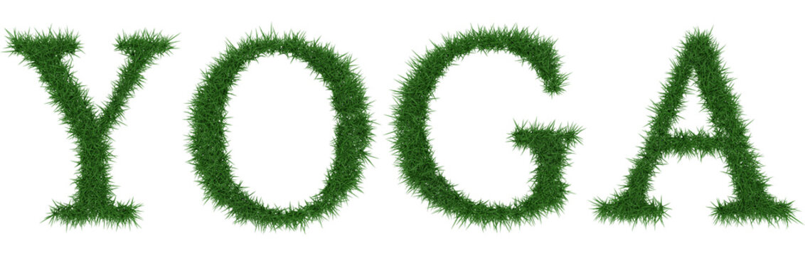 Yoga - 3D rendering fresh Grass letters isolated on whhite background.