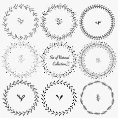 Set Of Hand Drawn Round Frames For Decoration. Vector Natural Collection.