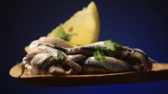 Engraulis encrasicolus Alice Anchovy Sardelli video Boquer&oacute;n Alici Sardela marinated Sardelle marinate עפיאן אירופי Acciuga Aladroque Pesce Biqueir&atilde;o Fish Chamsa fisk Anchois Европейский анчоус 