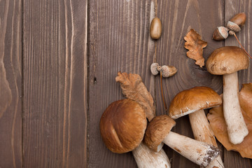 Cep mushrooms. Boletus oak leaves and acorns on the wooden surface. Autumn template.The view from the top