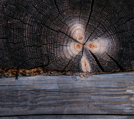  The texture of the wood. Wood planks. Background.