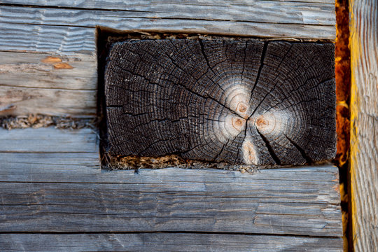  The texture of the wood. Wood planks. Background.