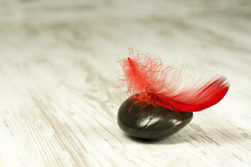 Red feather on black stones