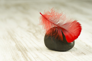 Red feather on black stones