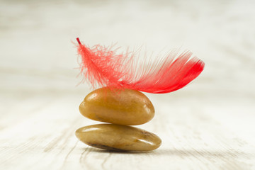 Red feather on bright stones