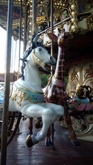 colorfull vintage carousel horse