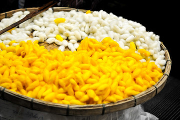 The Complex Thai Silk Making Process The silkworms, This process is called “sericulture.” The most valuable silk yarn is obtained from a silkworm, Household handicrafts of Thai silk