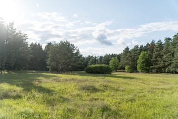 Obraz premium Landscape