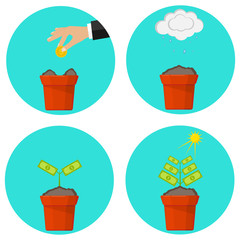 Tree with money. Phases of money tree growth. A tree with money.