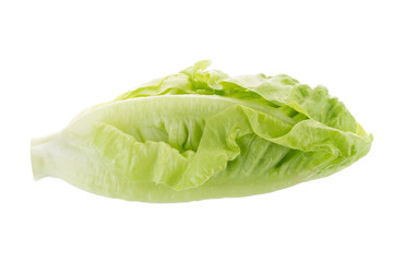 Fresh green cos lettuce Isolated on White Background