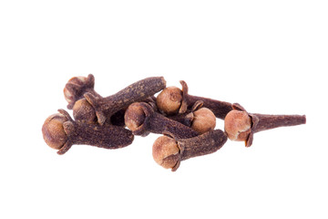 Clove spice closeup isolated on a white background