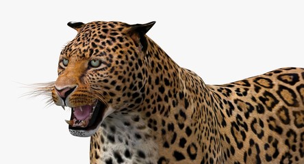 Leopard (3d)