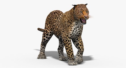 Naklejka premium Leopard (3d)
