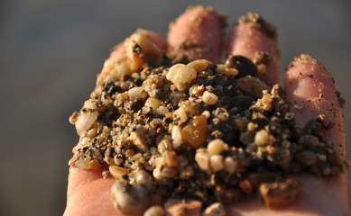 a handful of gravel from danube
