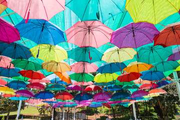 Fototapeta na wymiar many colorful umbrellas protecting the sunlight