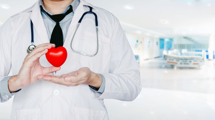 Doctor holding heart on background of Hospital ward