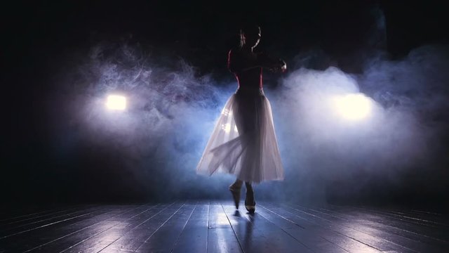 A female dancer shows off her ballet skills. 