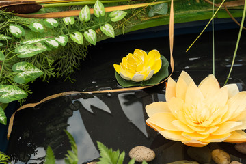 Artificial water lilies in ponds with stones. Grass of autumn.