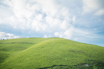 Beautiful  landscape view of green grass  with  blue sky  background in Utsukushigahara park is  one of the most important and popular natural place in Nagano Prefecture , Japan.