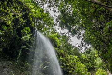Waterfall in Los Tilos park in La Palma