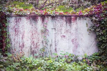 Fence in thickets with an empty center in place
