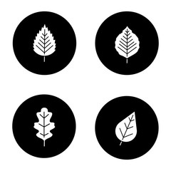 Leaves glyph icons set