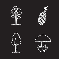 Forestry chalk icons set