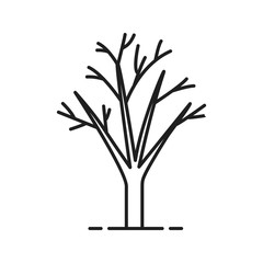 Tree without leaves linear icon