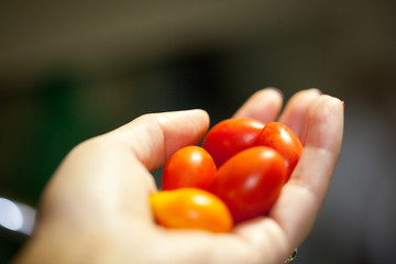 woman hand holding cherry tomatoes