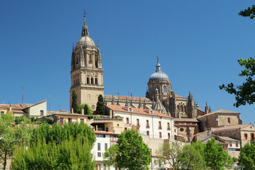 Fototapeta na wymiar New Cathedral of Salamanca, Spain 