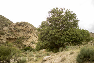 hiking landscapes in almeria