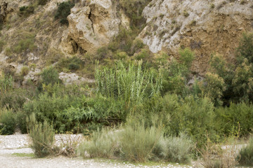 hiking landscapes in almeria