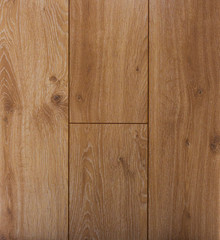 Naklejka premium The texture of the wood. Paul. birch