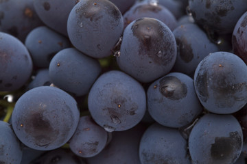 dark grapes background