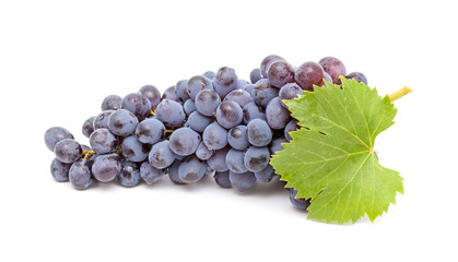 dark grapes isolated