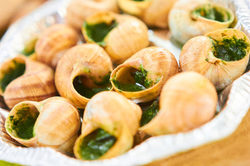 snails
