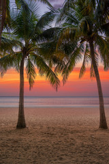 the Caribbean islands