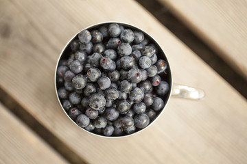mug filled with bilberry