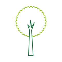 tree forest natural camping foliage plant vector illustration