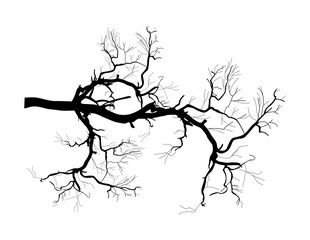 Tree Branch Silhouette - vector clip-art illustration